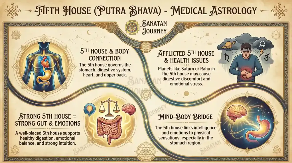 Anatomy & Medical Astrology - Putra Bhava (Fifth House)